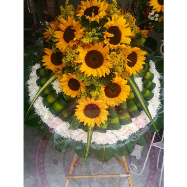 Corona Especial