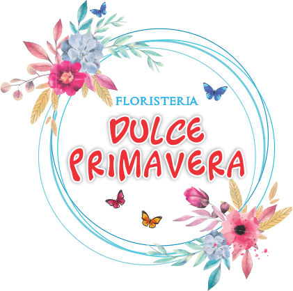 Floristeria En Sincelejo