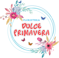 logo (1)
